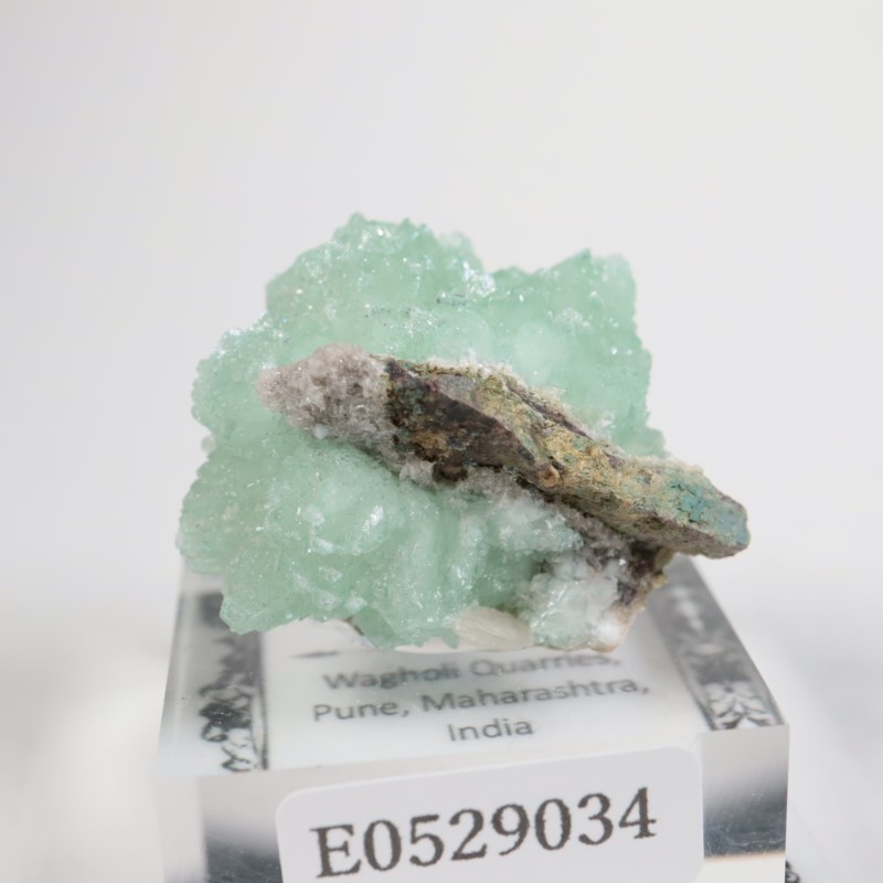 Wagholi�������ݥե��饤��