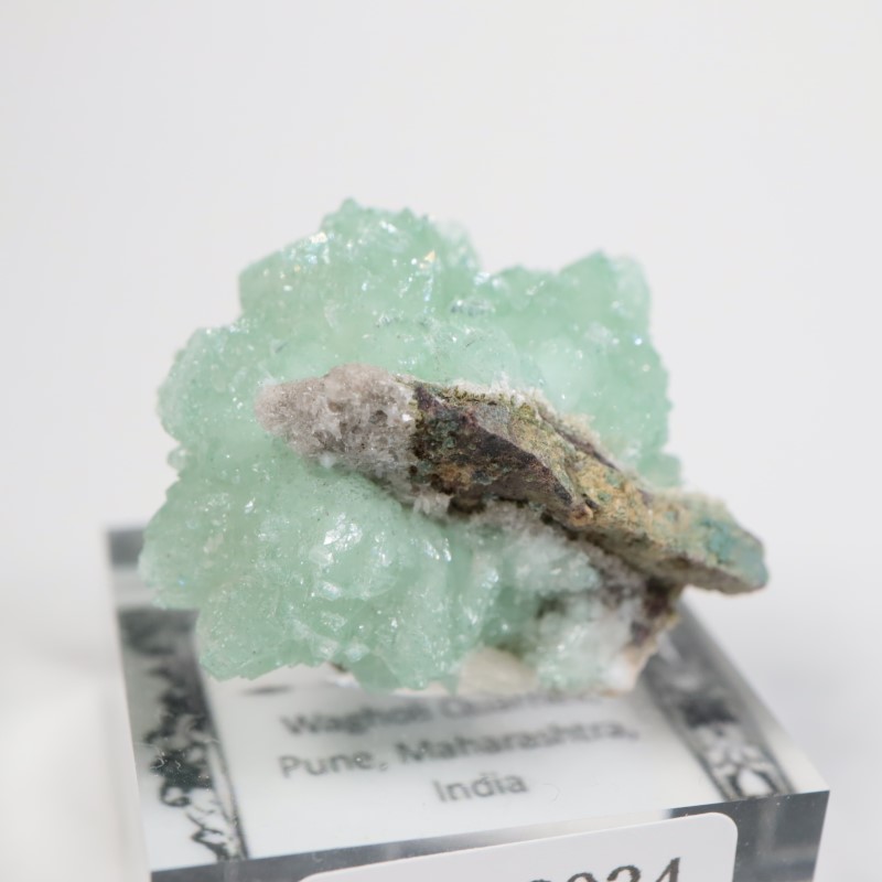 Wagholi�������ݥե��饤��