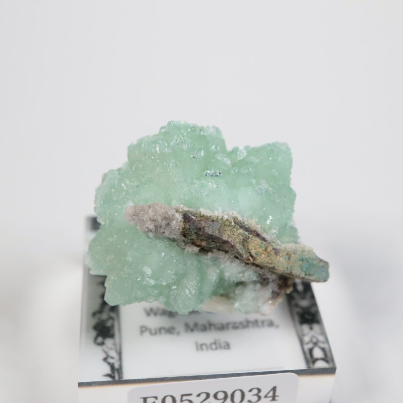 Wagholi�������ݥե��饤��