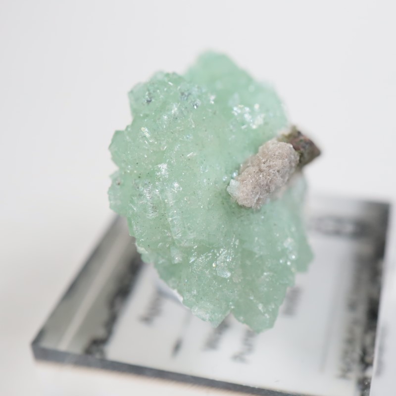 Wagholi�������ݥե��饤��