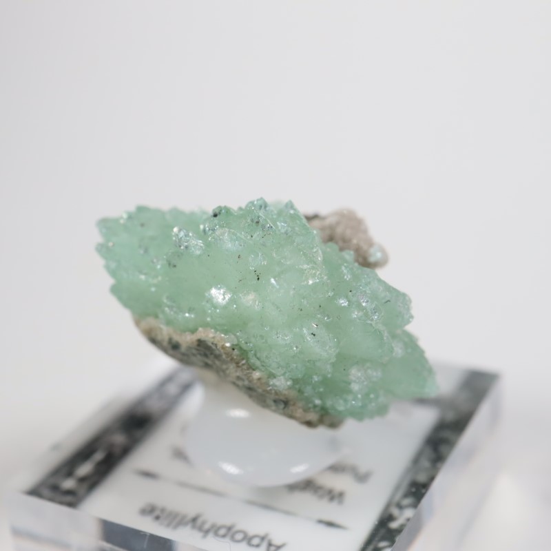 Wagholi�������ݥե��饤��