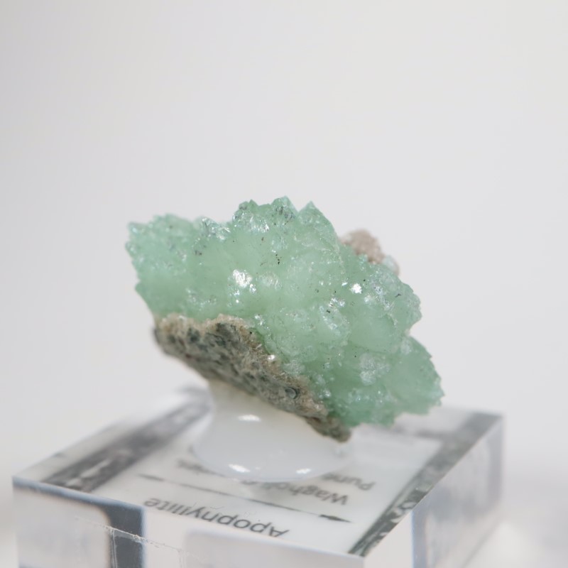 Wagholi�������ݥե��饤��