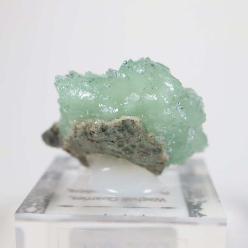 Wagholi�������ݥե��饤��