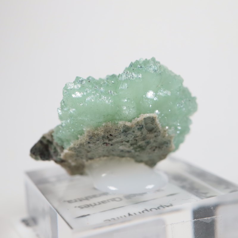 Wagholi�������ݥե��饤��