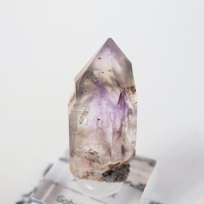 �֥��ɥС����� ���᥷����