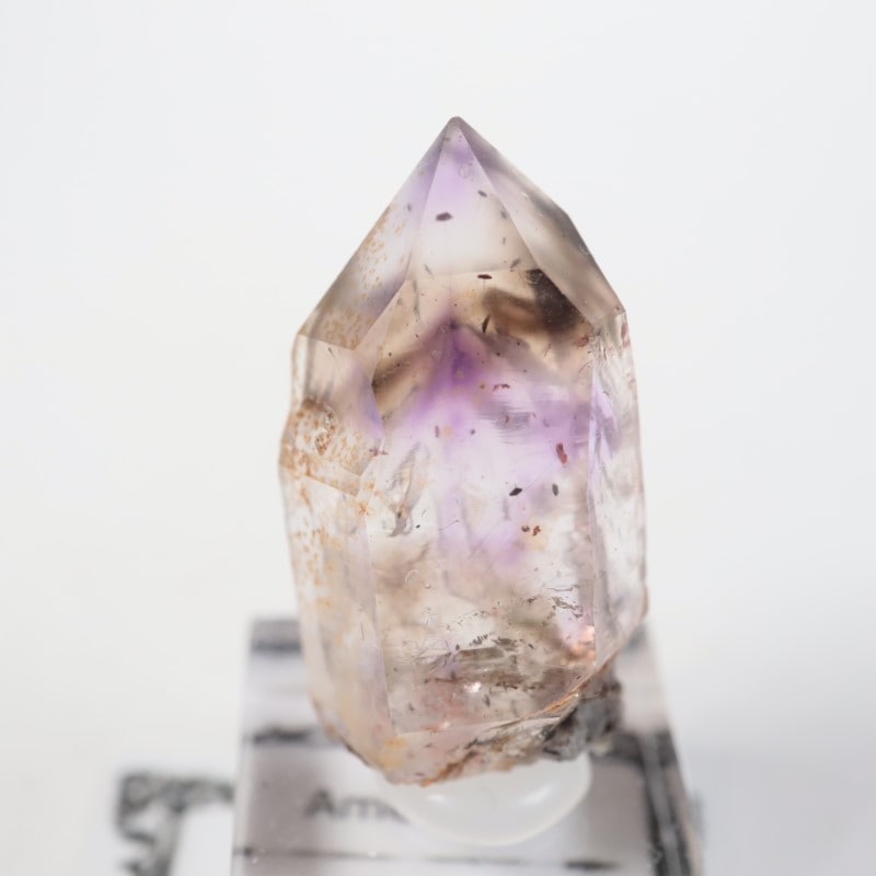 �֥��ɥС����� ���᥷����