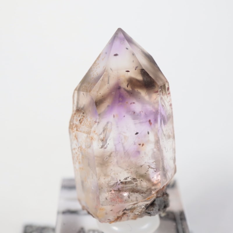 �֥��ɥС����� ���᥷����