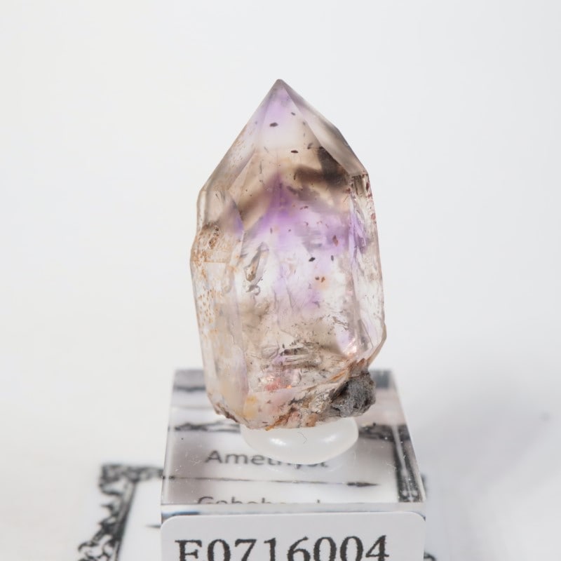 �֥��ɥС����� ���᥷����