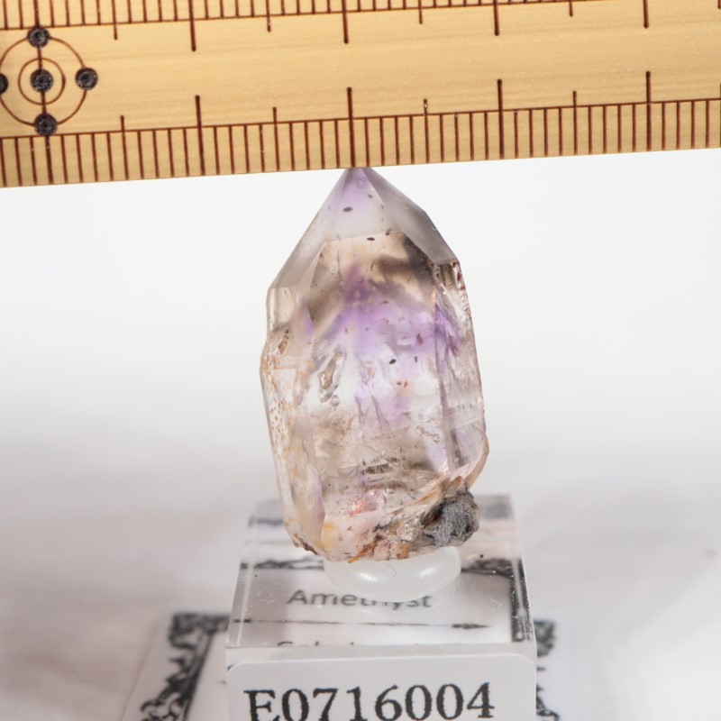 �֥��ɥС����� ���᥷����