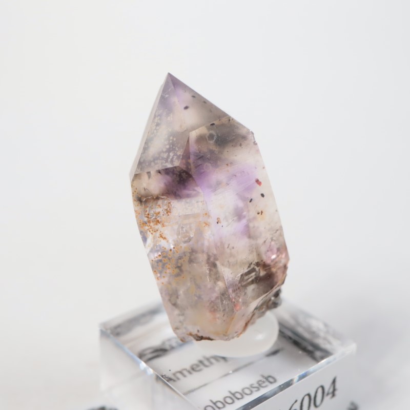 �֥��ɥС����� ���᥷����