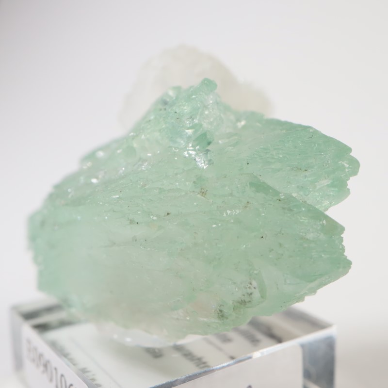 ����ɻ� ���ݥե��饤��