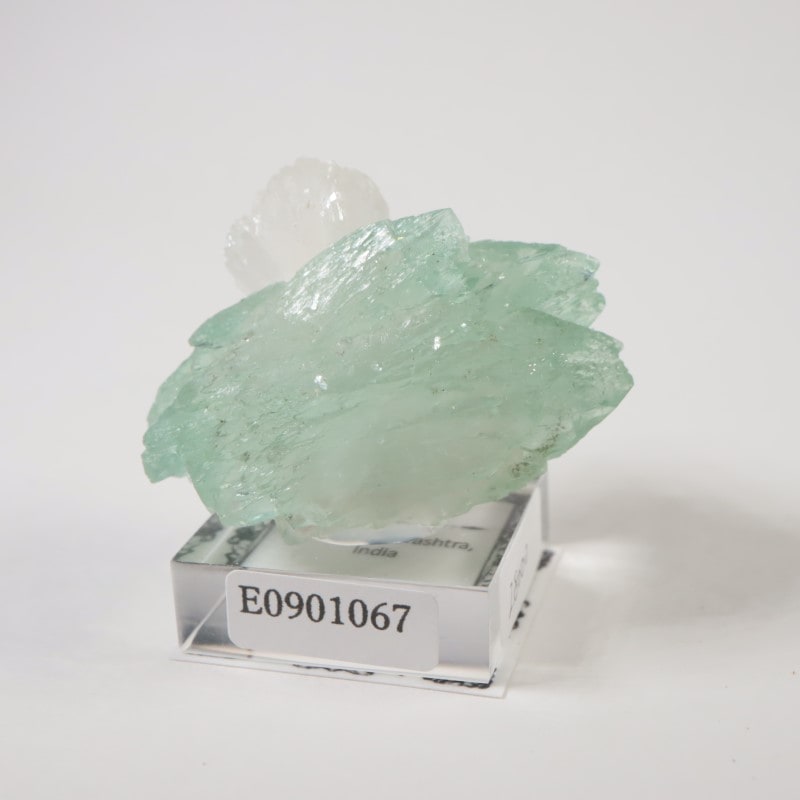 ����ɻ� ���ݥե��饤��