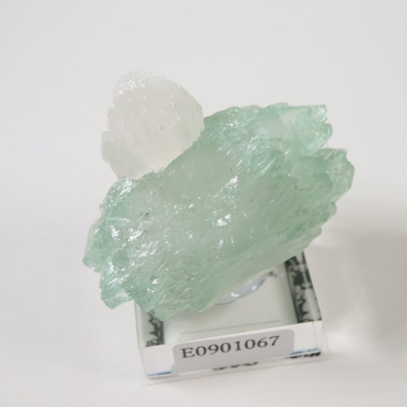 ����ɻ� ���ݥե��饤��