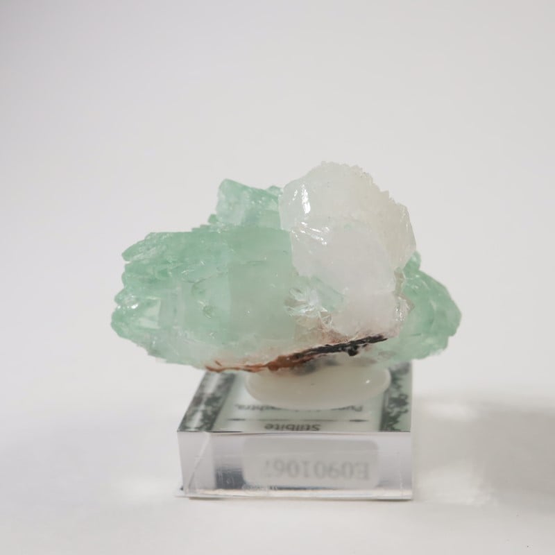 ����ɻ� ���ݥե��饤��