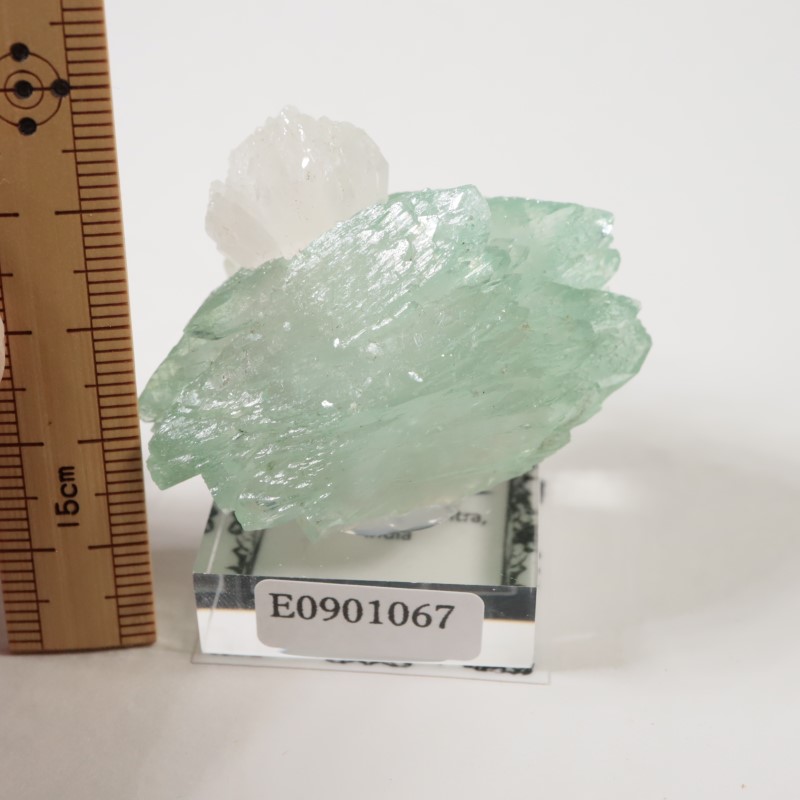 ����ɻ� ���ݥե��饤��