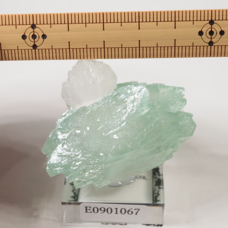 ����ɻ� ���ݥե��饤��