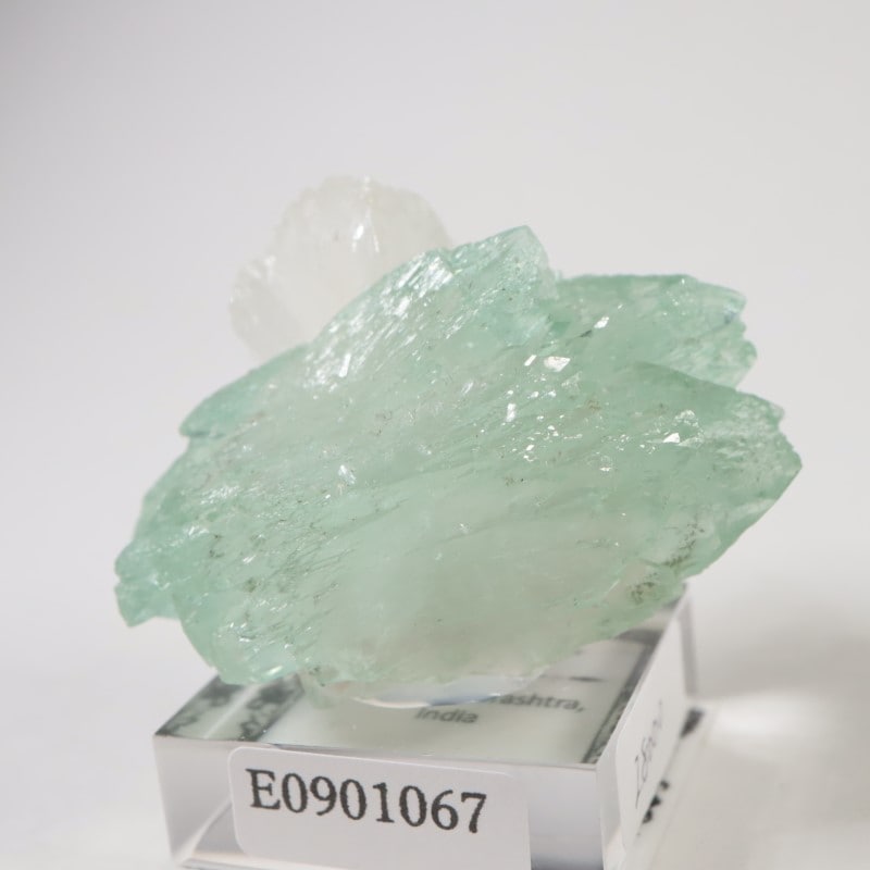 ����ɻ� ���ݥե��饤��