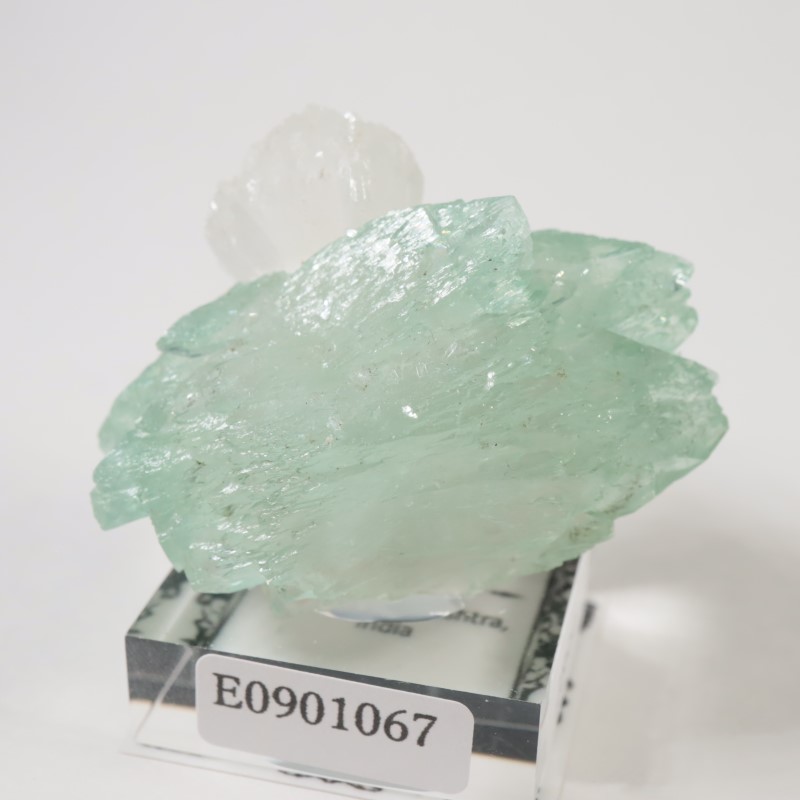 ����ɻ� ���ݥե��饤��