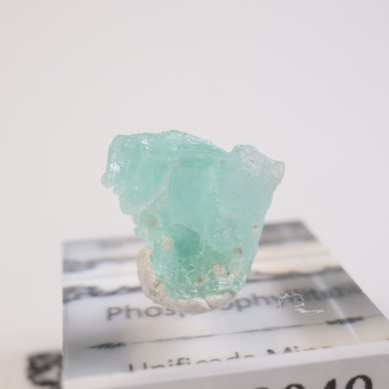 フォスフォフィライト　原石　  ボリビア　鉱物標本 ボリビア産 フォスフォフィライト | 鉱物標本,ハ行,フォスフォフィ