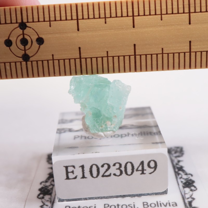 ボリビア産 フォスフォフィライト | 鉱物標本,ハ行,フォスフォ