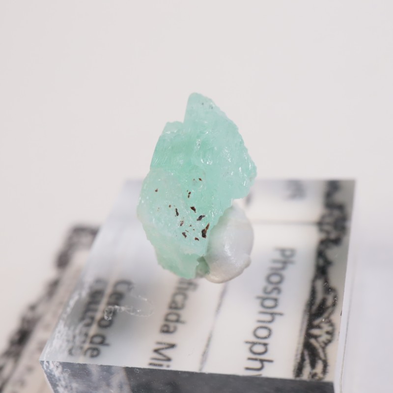 ボリビア産 フォスフォフィライト | 鉱物標本,ハ行,フォスフォフィ