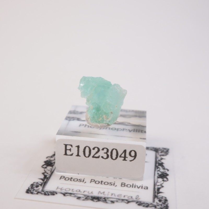 ボリビア産 フォスフォフィライト | 鉱物標本,ハ行,フォスフォ