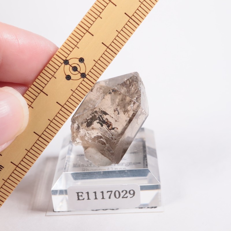 �ե�󥹻� ���⡼������������