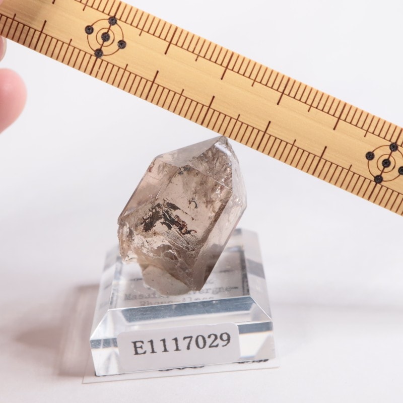 �ե�󥹻� ���⡼������������