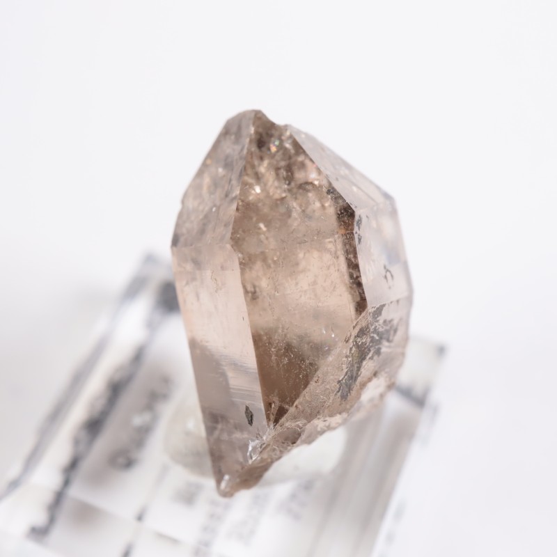 フランス産 スモーキークォーツ | 鉱物標本,カ行,クォーツ/水晶