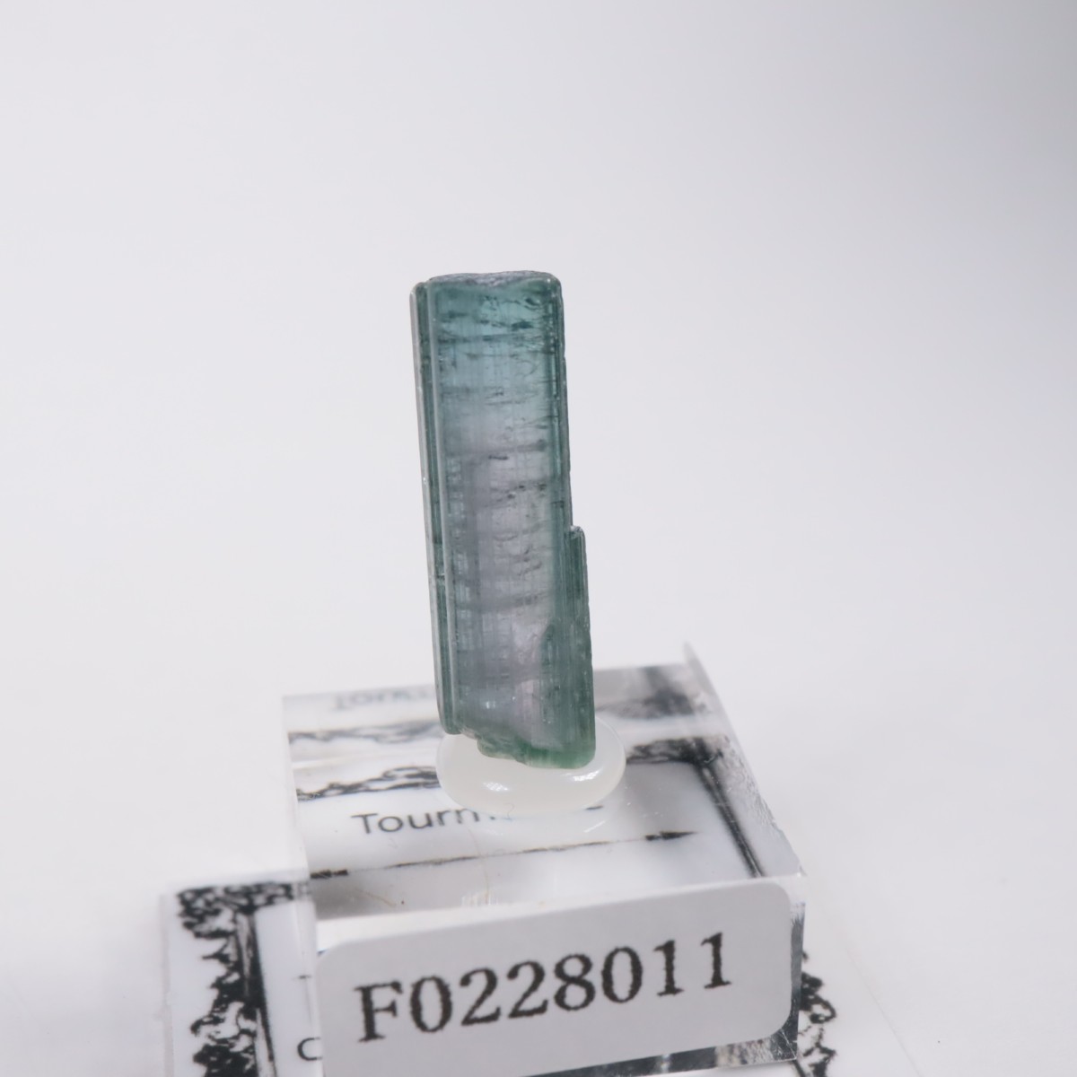 Coronel Murta�� �ȥ�ޥ��