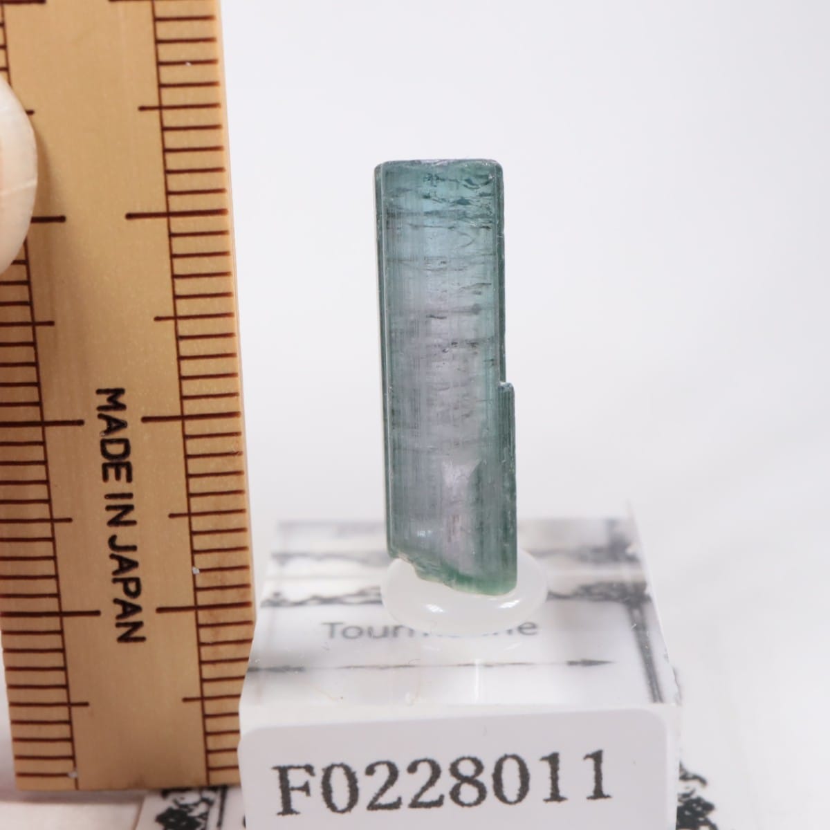 Coronel Murta�� �ȥ�ޥ��