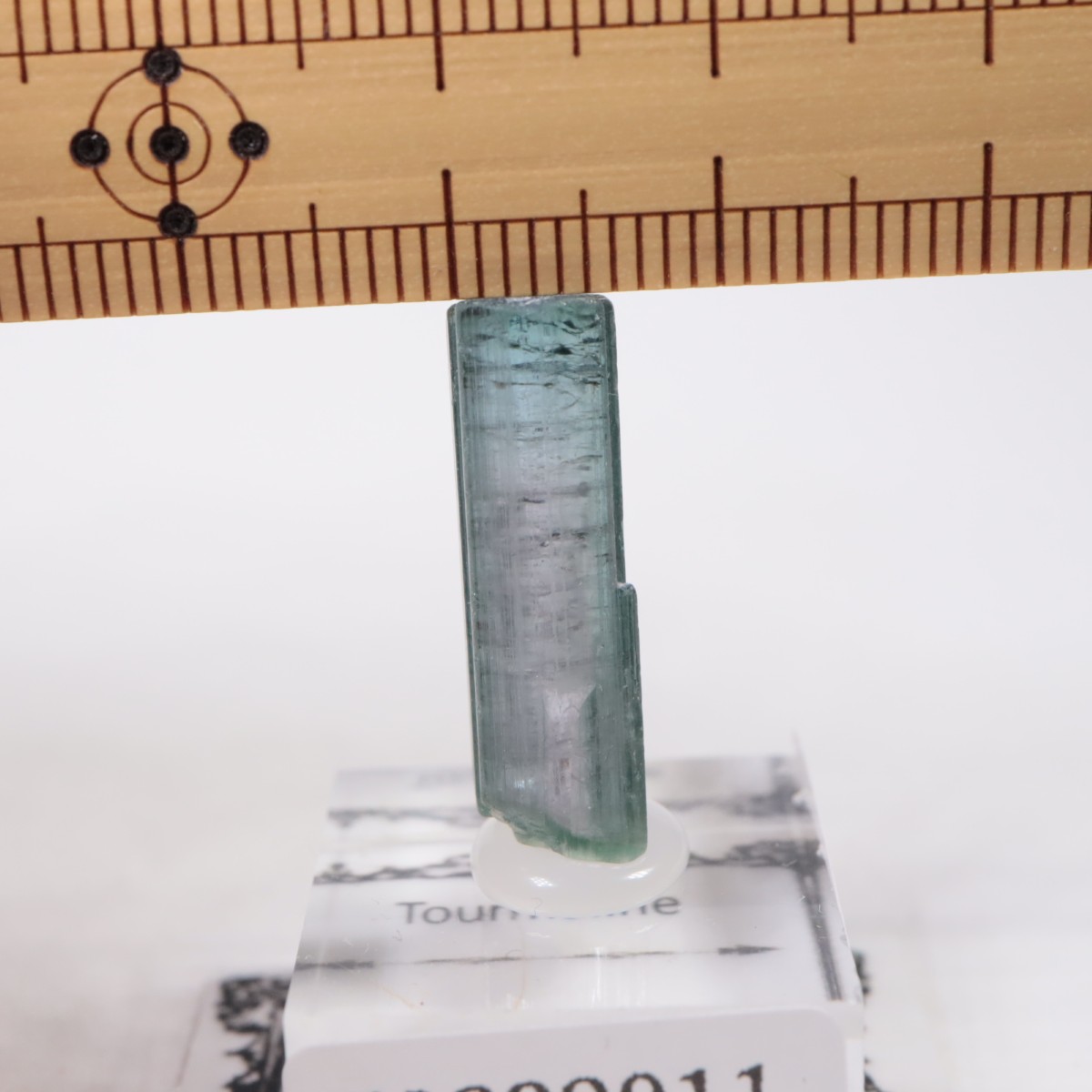 Coronel Murta�� �ȥ�ޥ��