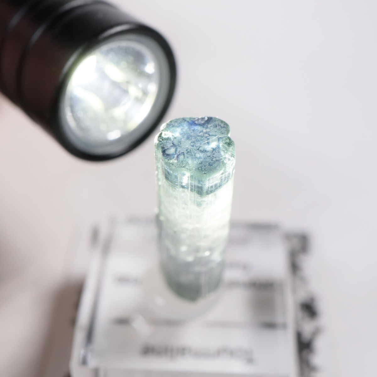 Coronel Murta�� �ȥ�ޥ��