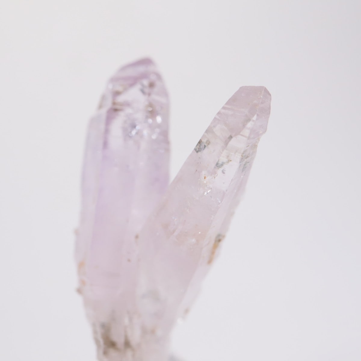 �٥饯�륹�� ���᥷����