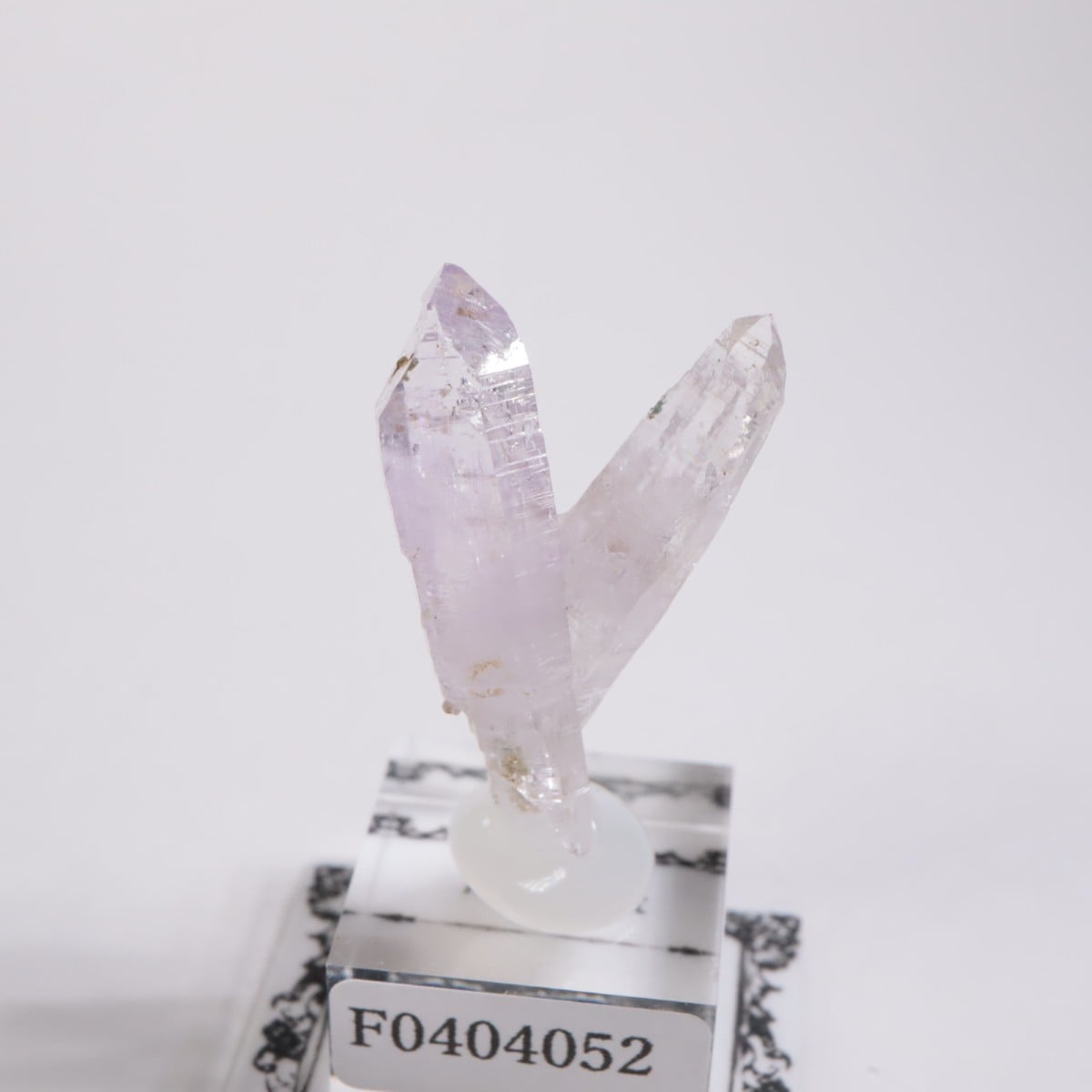 �٥饯�륹�� ���᥷����