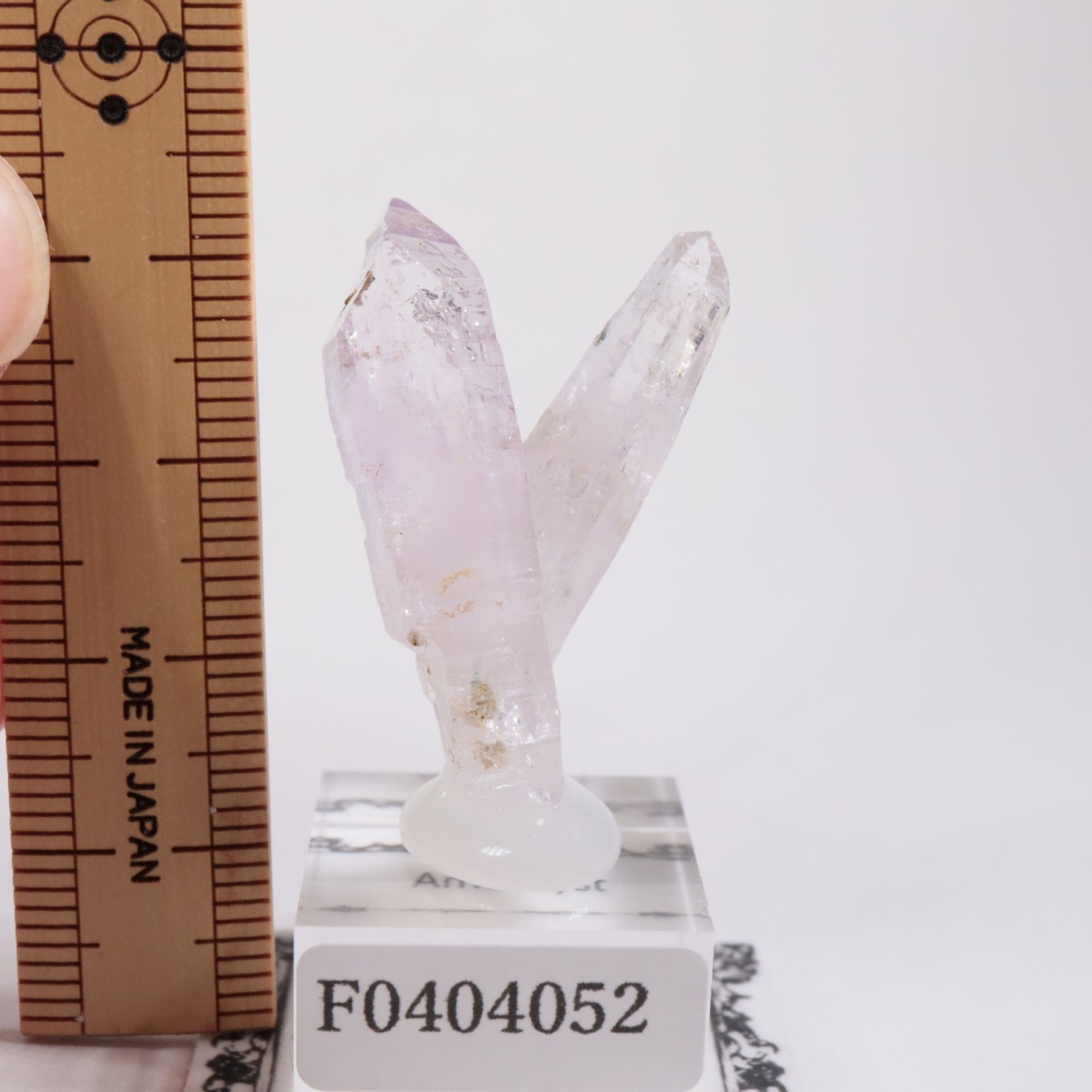 �٥饯�륹�� ���᥷����