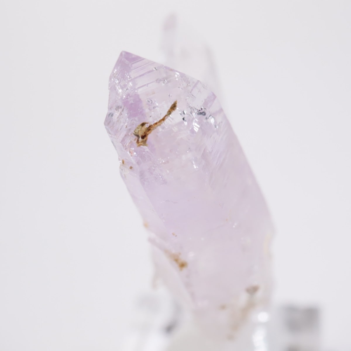 �٥饯�륹�� ���᥷����