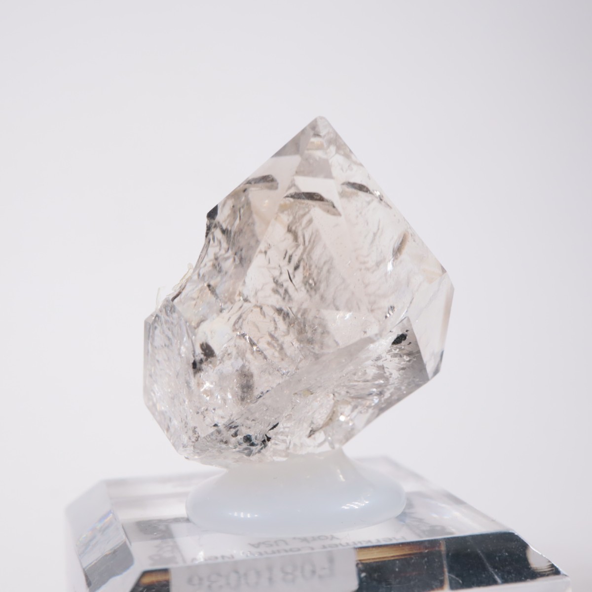 �˥塼�衼������ �ϡ����ޡ��徽