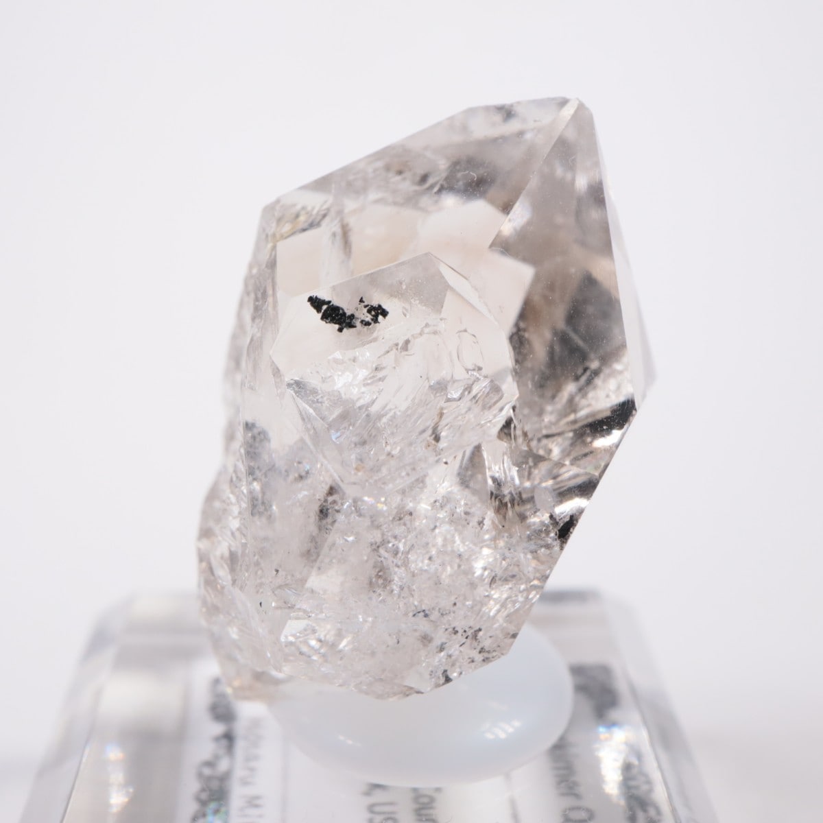 �˥塼�衼������ �ϡ����ޡ��徽