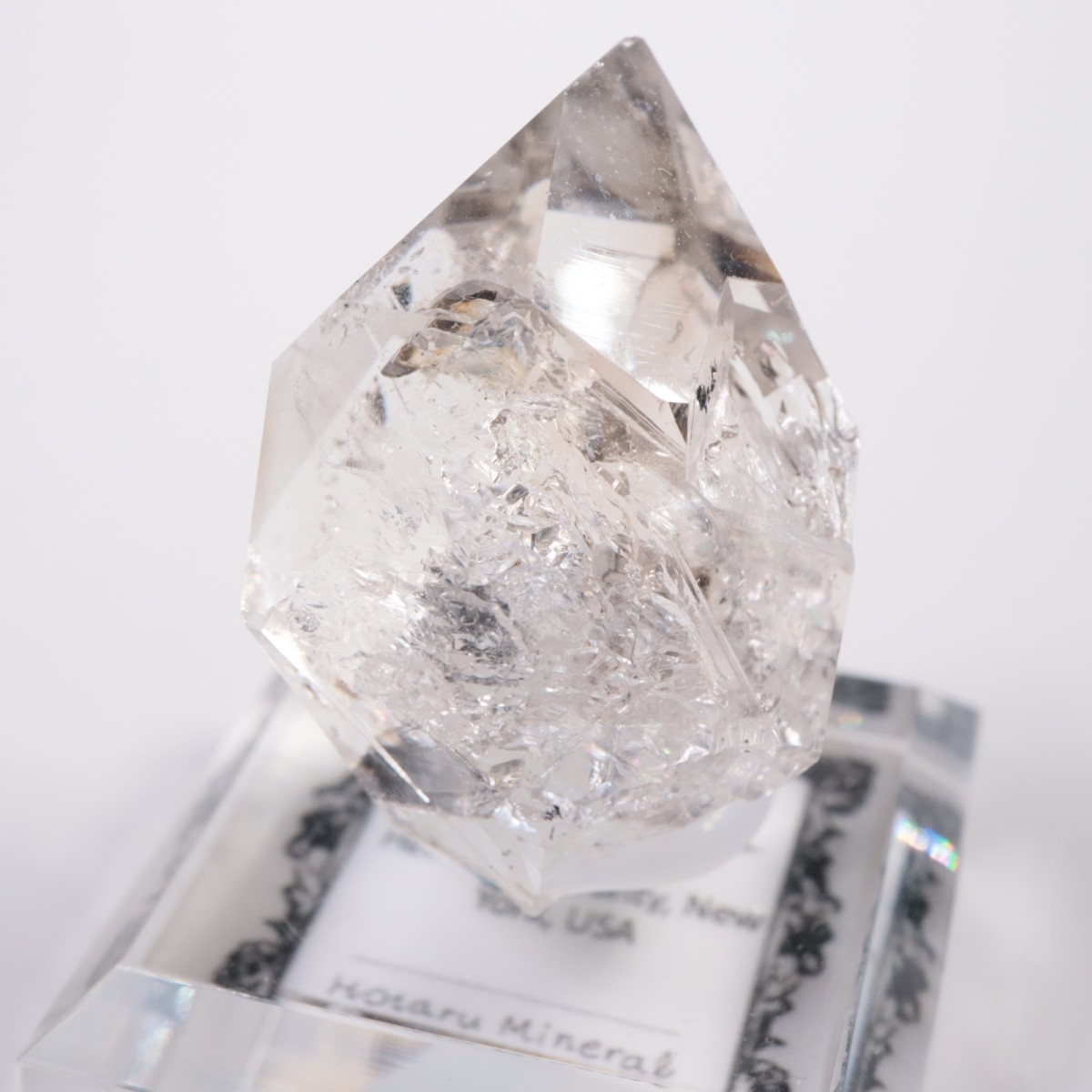 �˥塼�衼������ �ϡ����ޡ��徽