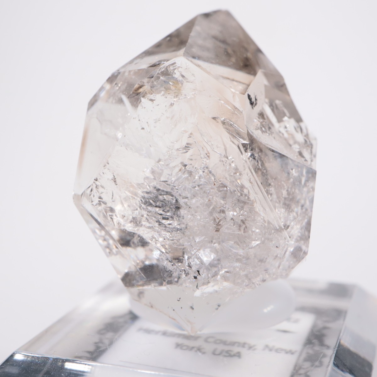 �˥塼�衼������ �ϡ����ޡ��徽