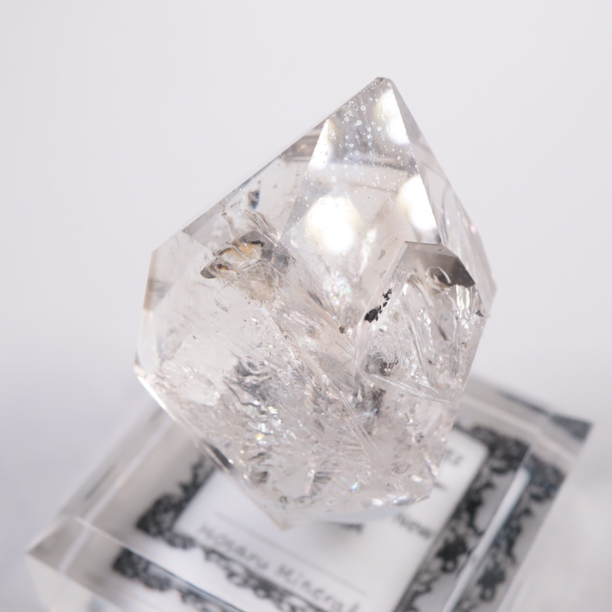 �˥塼�衼������ �ϡ����ޡ��徽