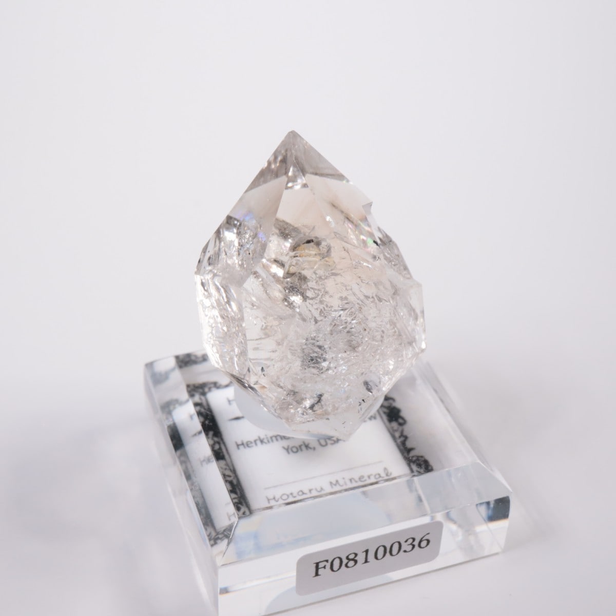 �˥塼�衼������ �ϡ����ޡ��徽