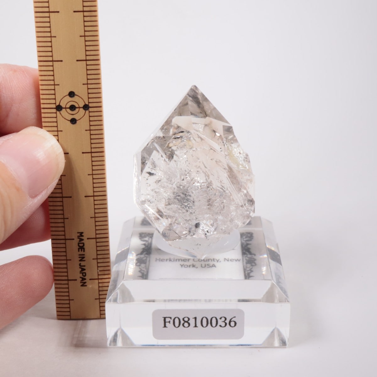 �˥塼�衼������ �ϡ����ޡ��徽