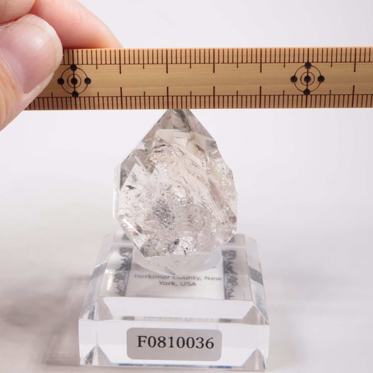 �˥塼�衼������ �ϡ����ޡ��徽