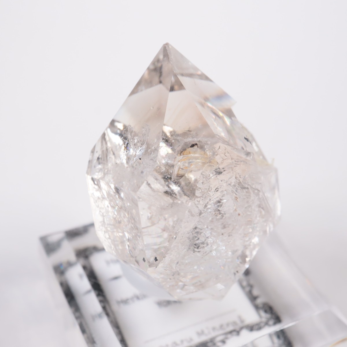 �˥塼�衼������ �ϡ����ޡ��徽