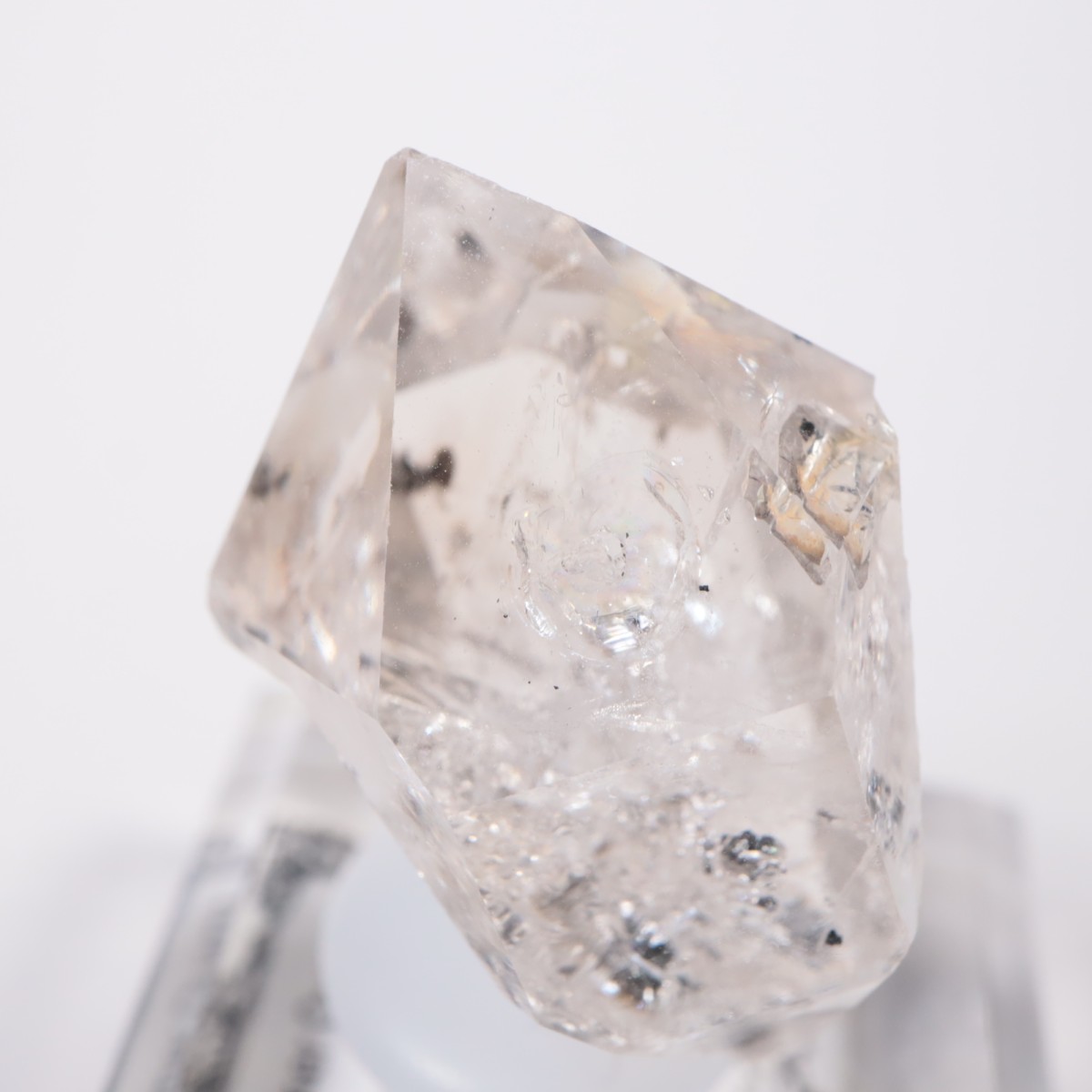 �˥塼�衼������ �ϡ����ޡ��徽