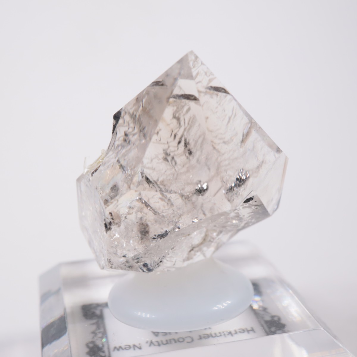 �˥塼�衼������ �ϡ����ޡ��徽