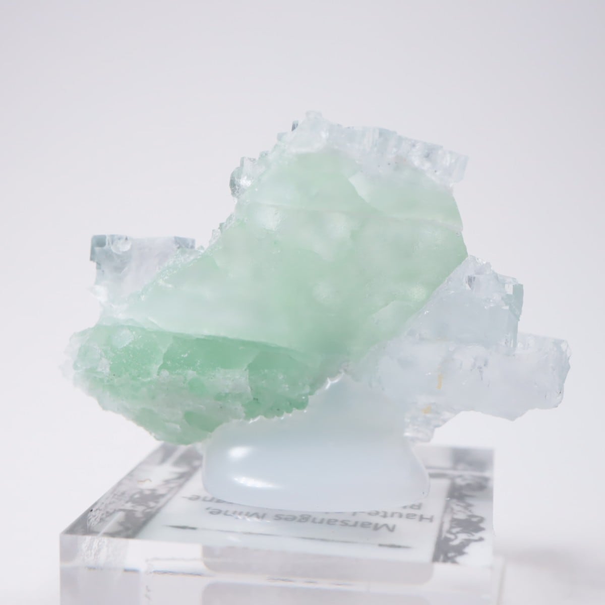 Marsanges�ۻ� �ե����饤��