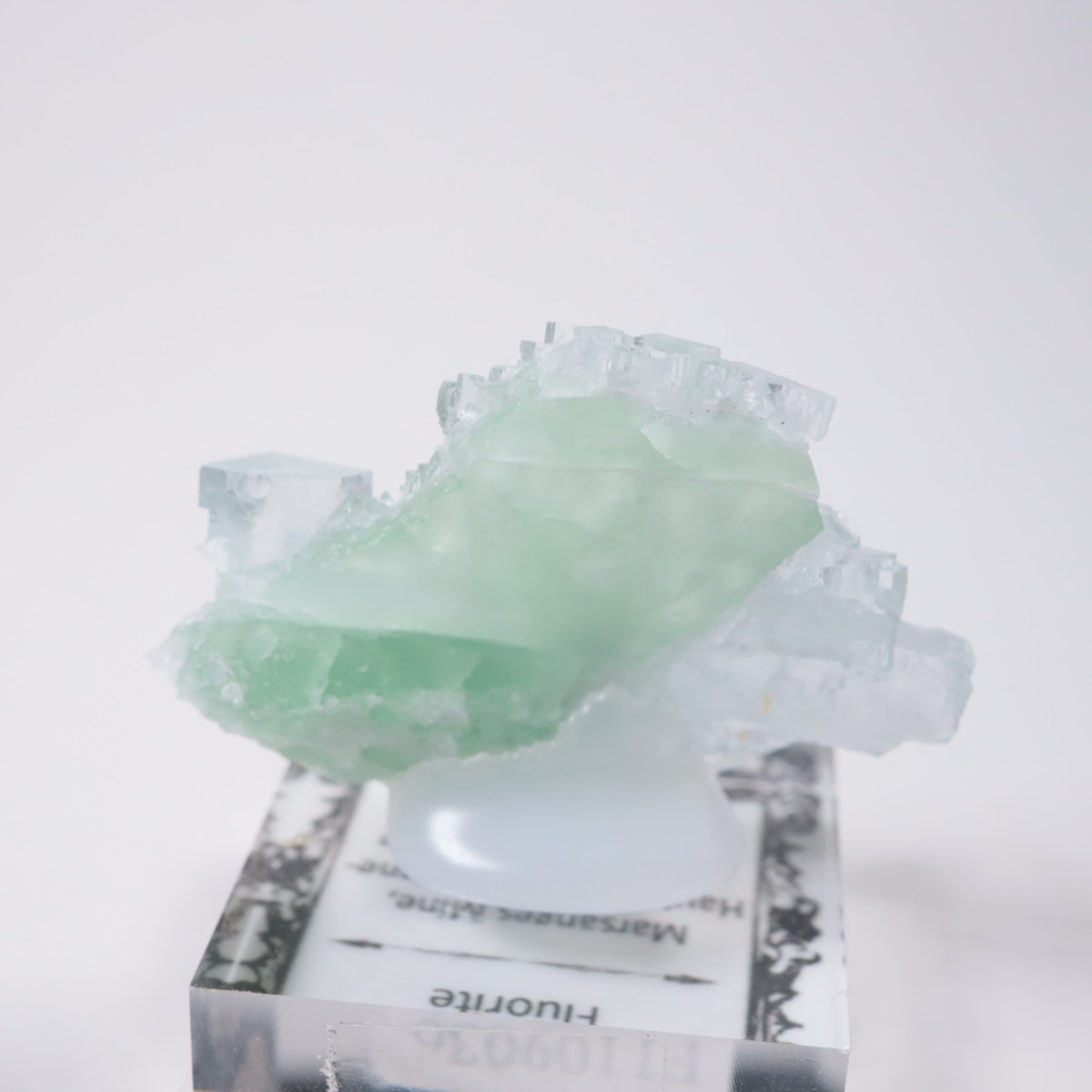 Marsanges�ۻ� �ե����饤��